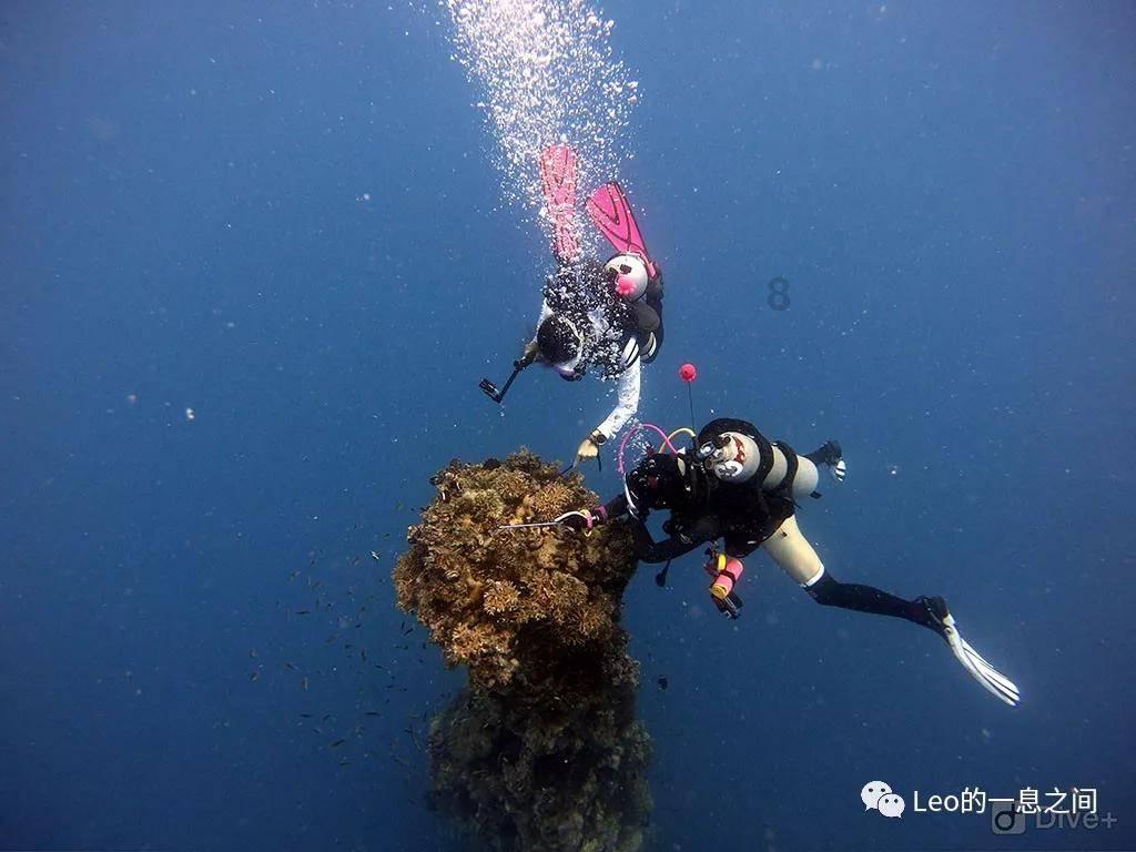 “备老经济”,提高老年人的幸福指数